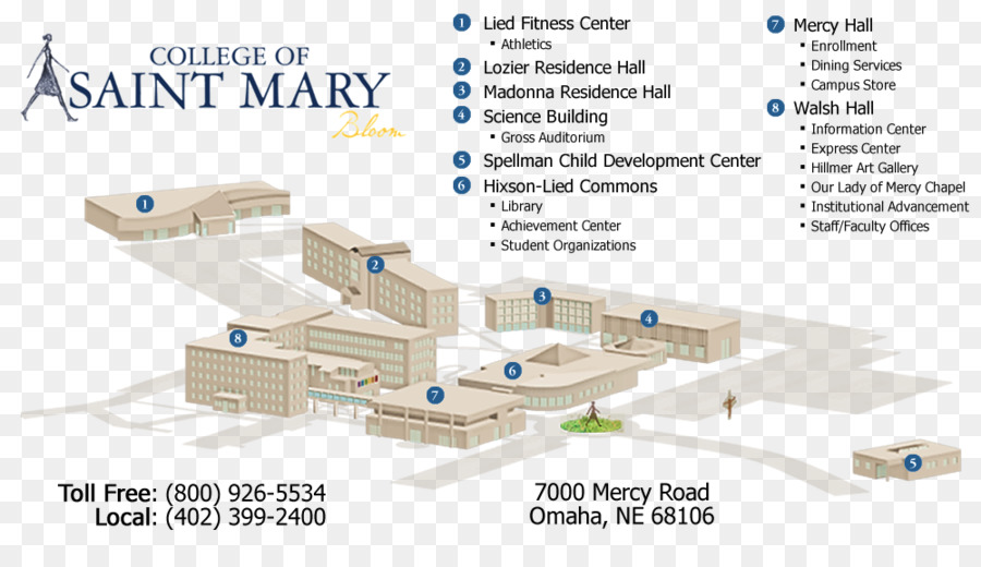 College Of St Mary，Saint Mary S College Of California PNG