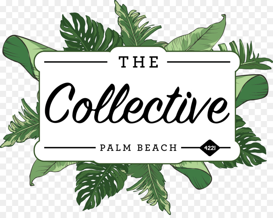 Kolektif Palm Beach，Pantai PNG
