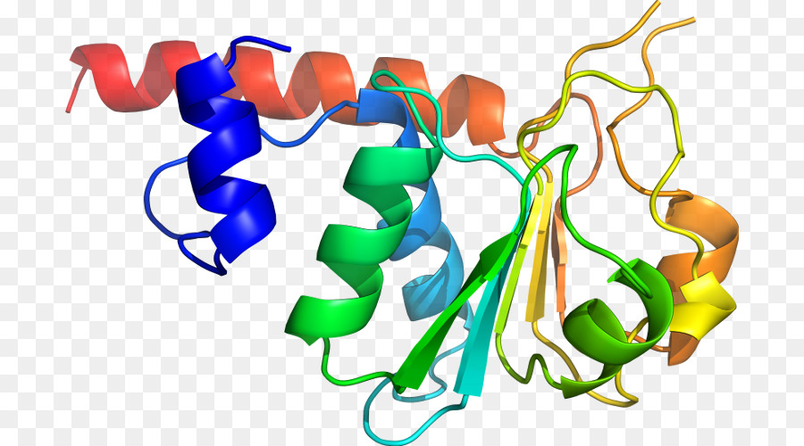 Struktur Protein Berwarna Warni，Protein PNG