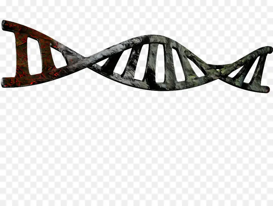 Heliks Dna，Genetika PNG