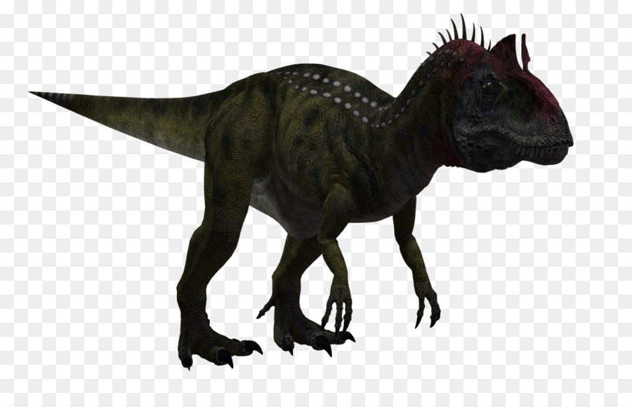 Cryolophosaurus，Tyrannosaurus PNG