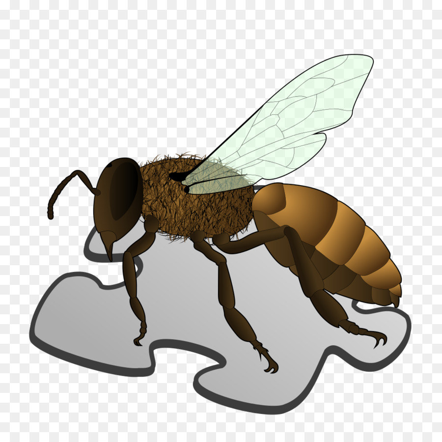 Lebah，Ratu Lebah PNG