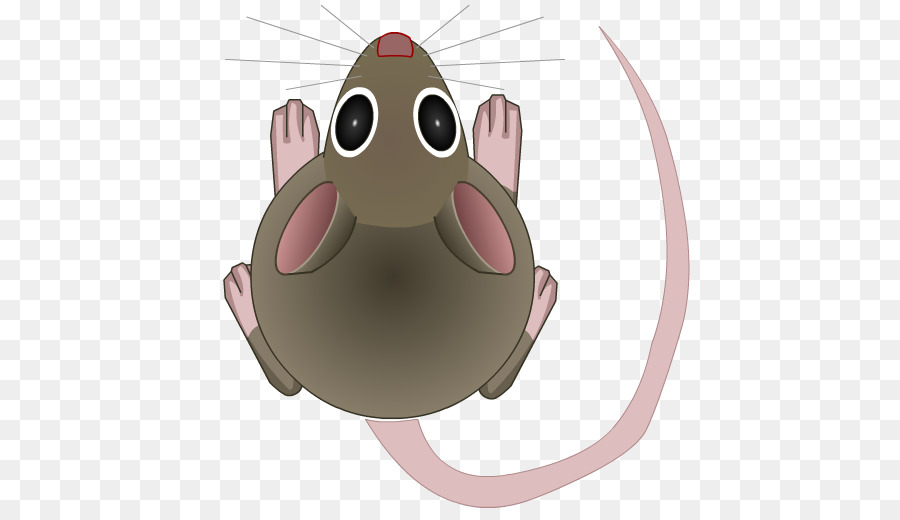 Tikus Kartun，Mouse PNG