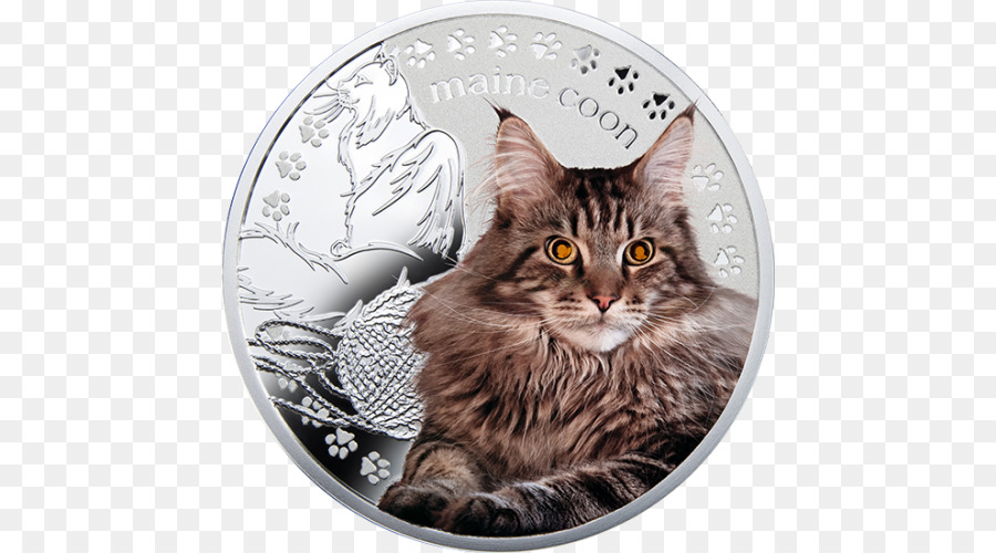 Koin Maine Coon，Maine Coon PNG