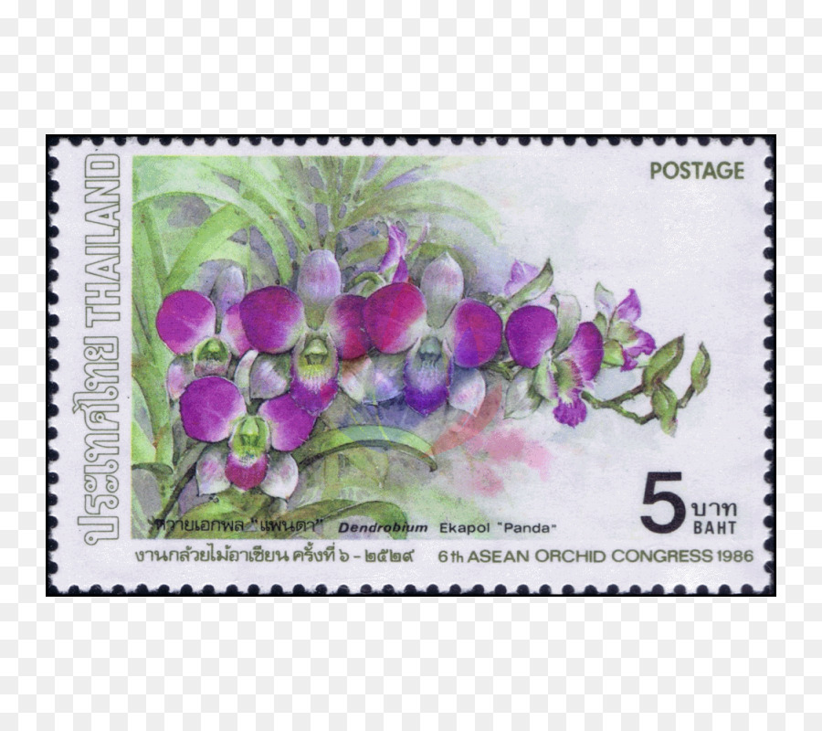 Lavender，Ungu PNG