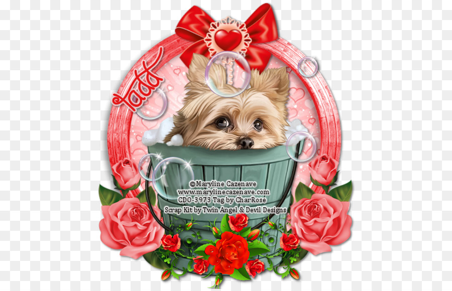 Yorkshire Terrier，Cairn Terrier PNG