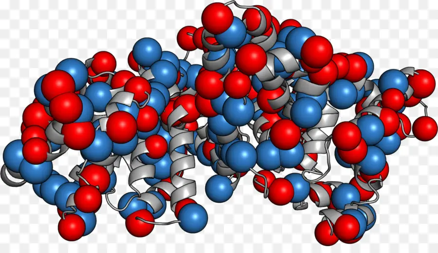 Albumin，Albumin Serum Manusia PNG