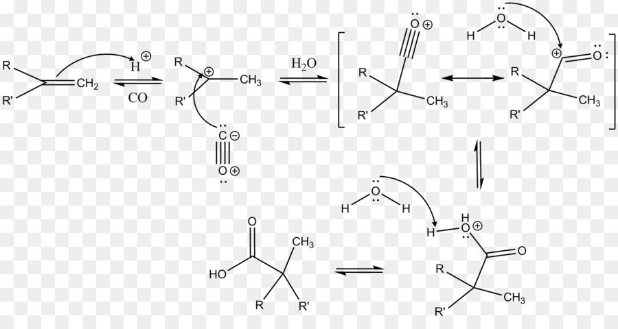 Koch Reaksi，Mekanisme Reaksi PNG