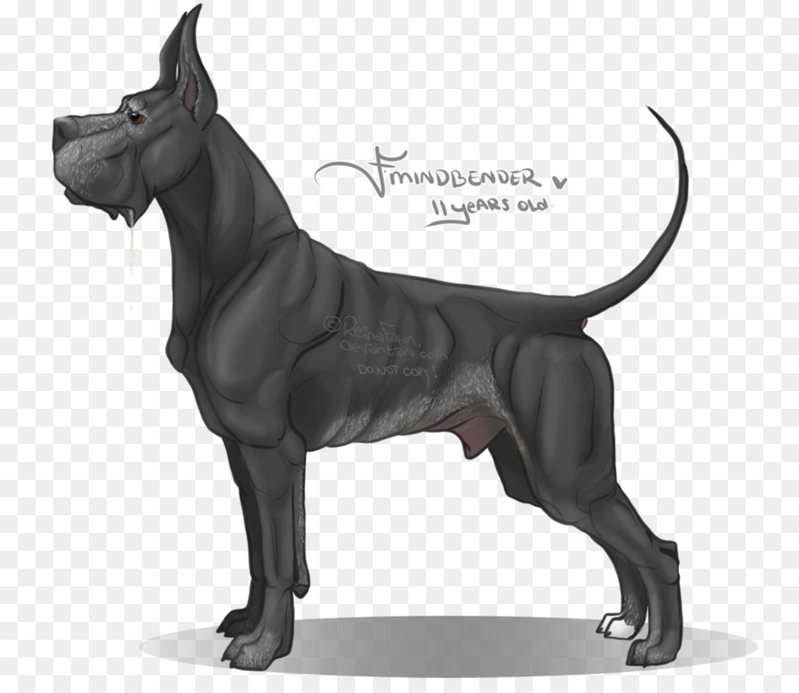 Great Dane，Anjing Berkembang Biak PNG