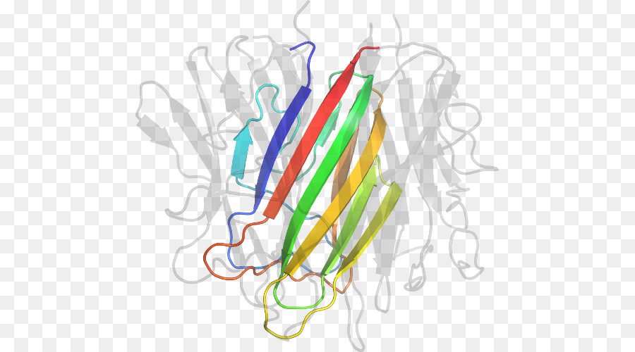 Struktur Protein，Molekul PNG