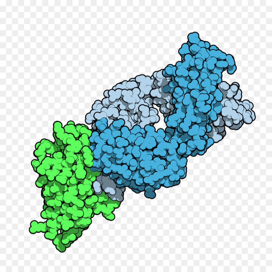 Struktur Protein，Molekul PNG