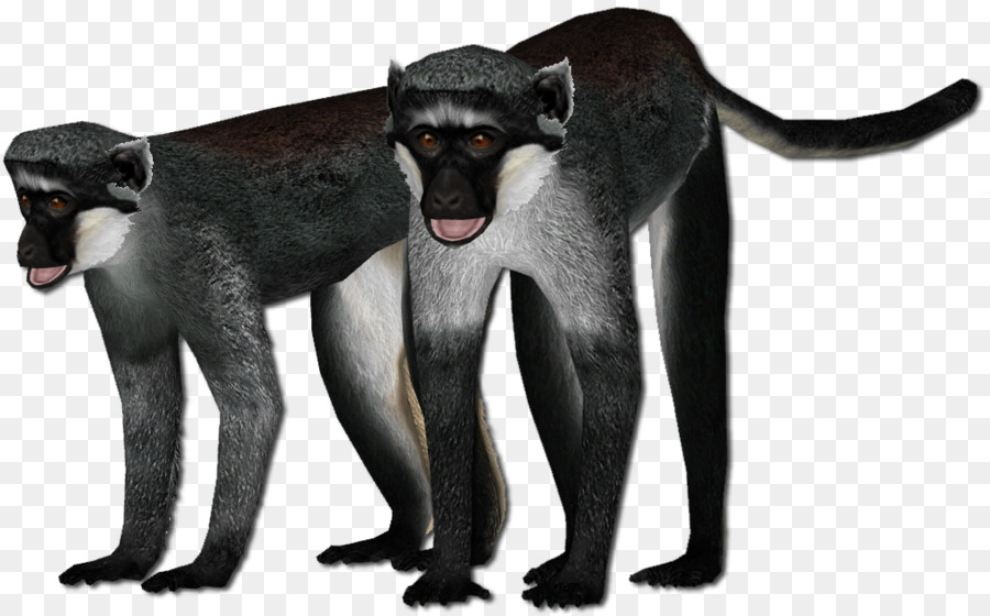 Monyet，Tiga PNG