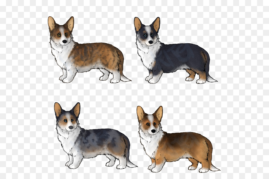 Anjing Corgi，Kartun PNG