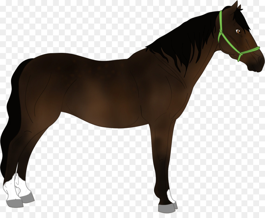 Mustang，Pony PNG