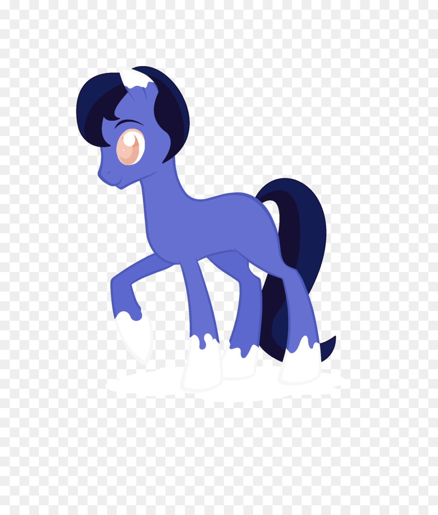 Kuda，Pony PNG