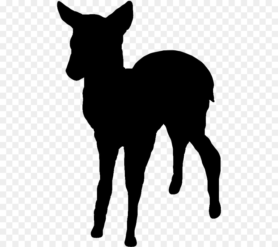 Kambing Boer，Stiker PNG