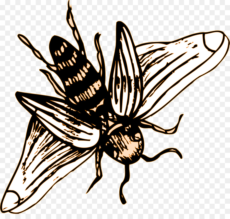 Serangga，Lebah PNG