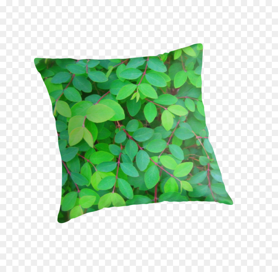 Bantal，Hijau PNG