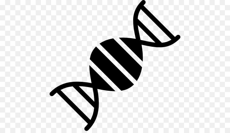 Dna，Genetika PNG