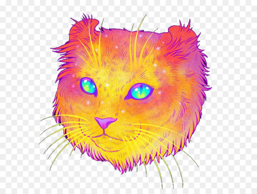 Kucing，Ilustrator PNG