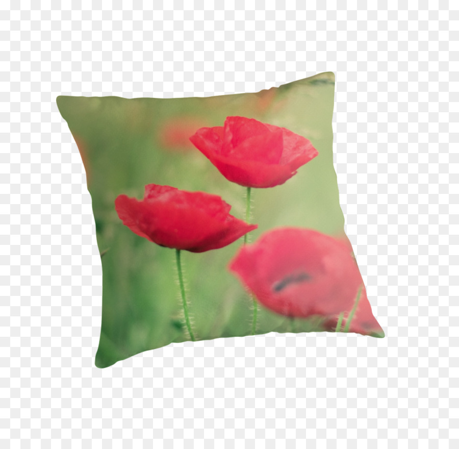 Bantal，Kelopak PNG