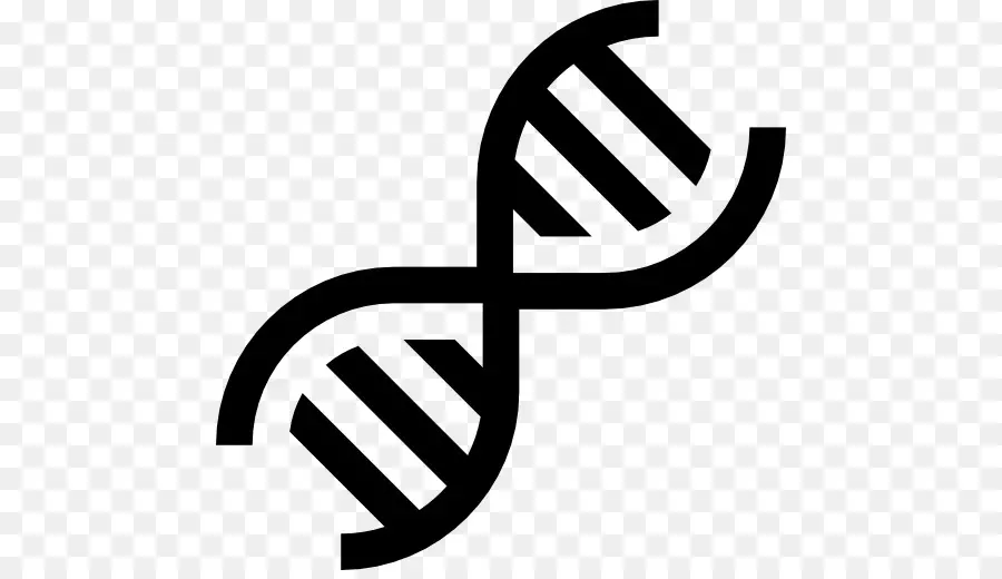 Dna，Spiral PNG