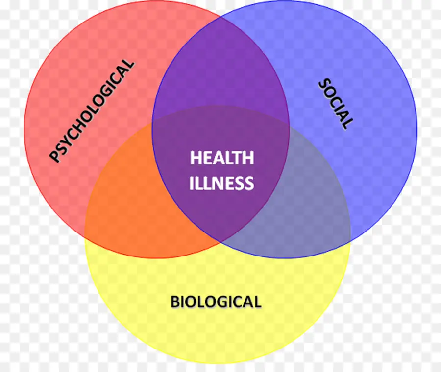 Diagram Penyakit Kesehatan，Kesehatan PNG