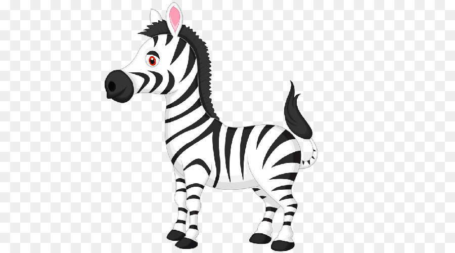 Zebra，Bergaris PNG