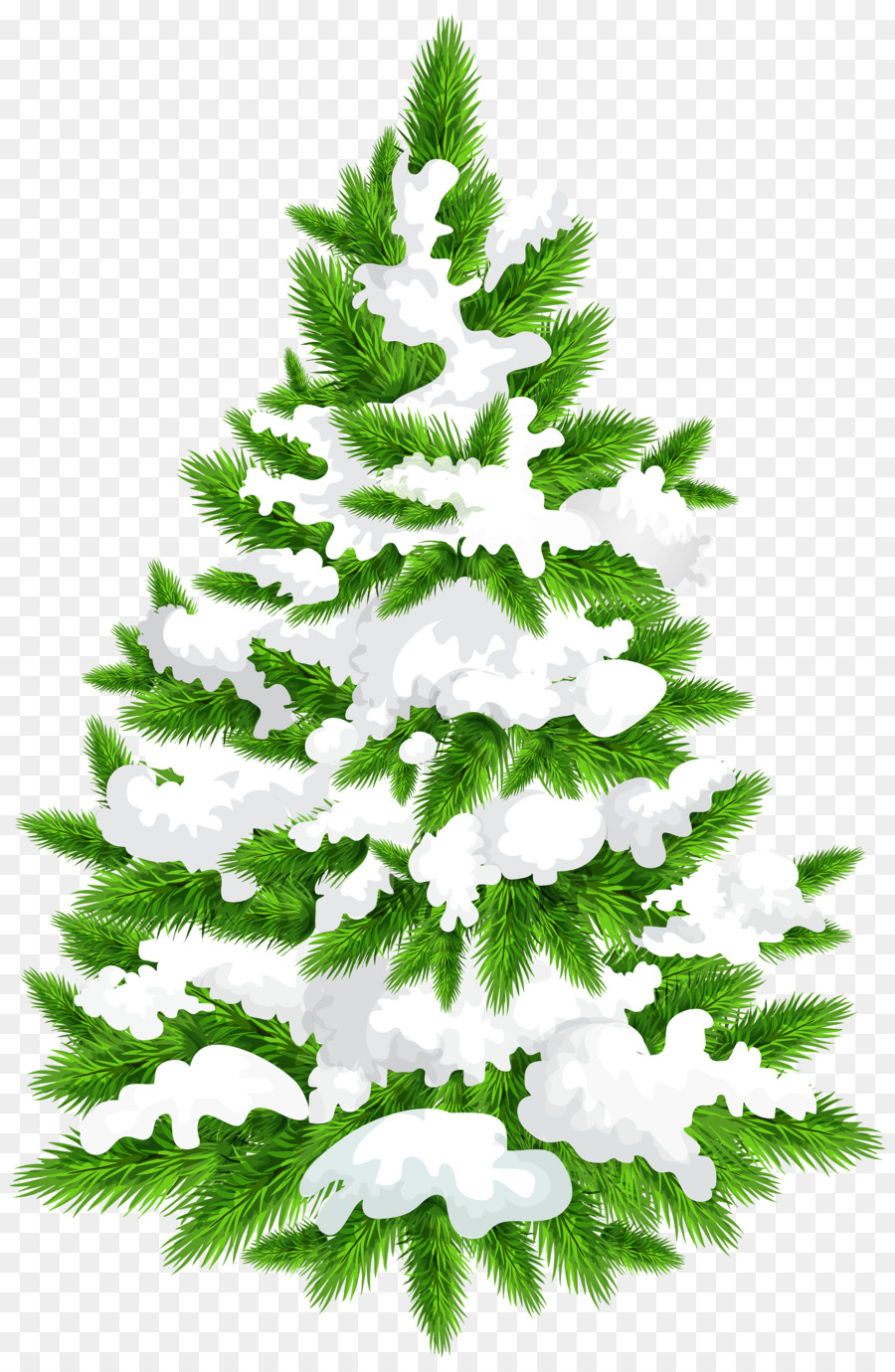 cemara pohon salju gambar png cemara pohon salju gambar png