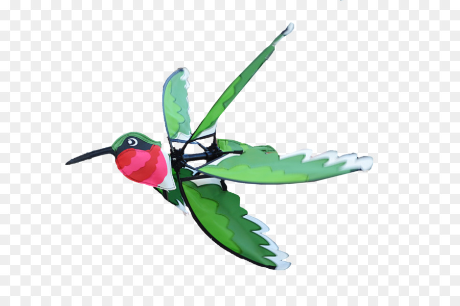 Hummingbird，Serangga PNG