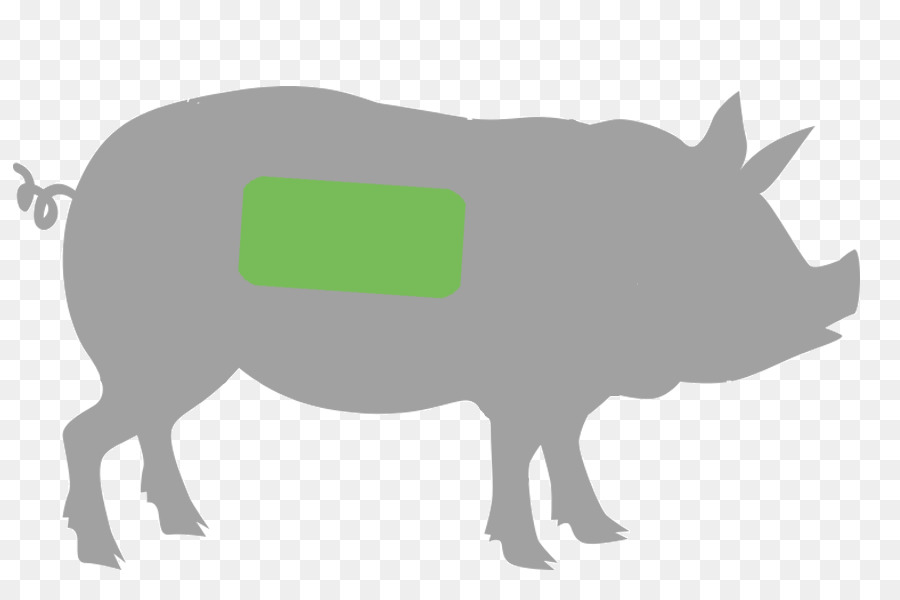 Babi Domestik，Ham PNG