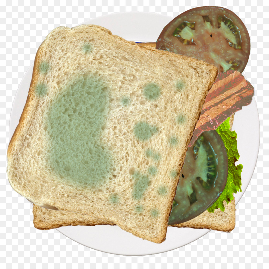 Sandwich Berjamur，Roti PNG