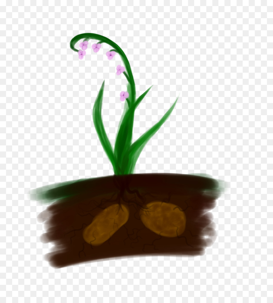 Daun，Pot Bunga PNG