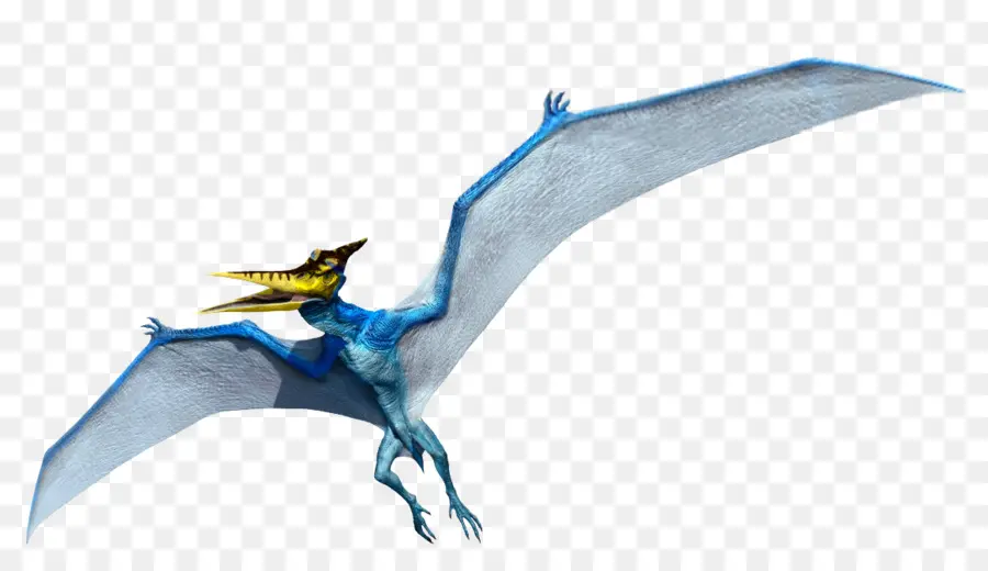 Pteranodon，Microceratus PNG