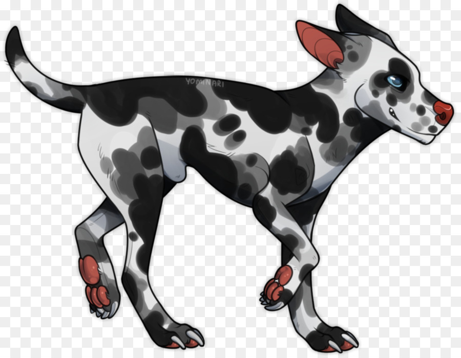 Anjing Dalmatian，Anjing Berkembang Biak PNG