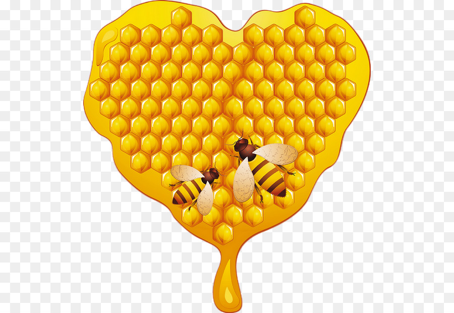  Lebah  Madu Sarang Lebah  Lebah  gambar png