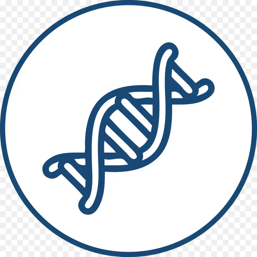 Dna，Genetika PNG