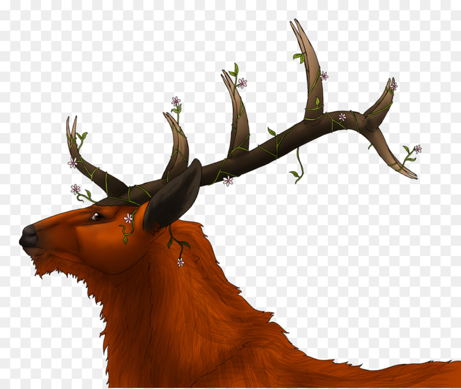 Rusa，Elk PNG