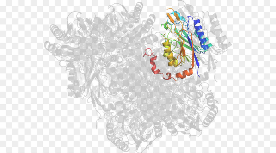 Struktur Protein，Molekul PNG