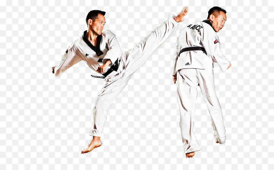 Seniman Bela Diri，Taekwondo PNG