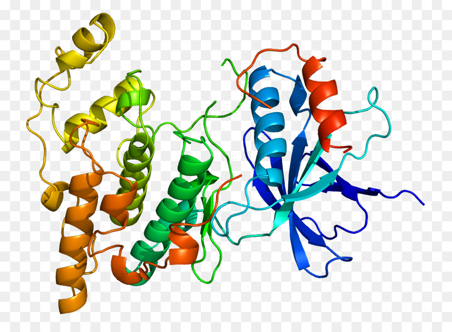 C Jun N Terminal Kinase，Mitogen Diaktifkan Protein Kinase PNG