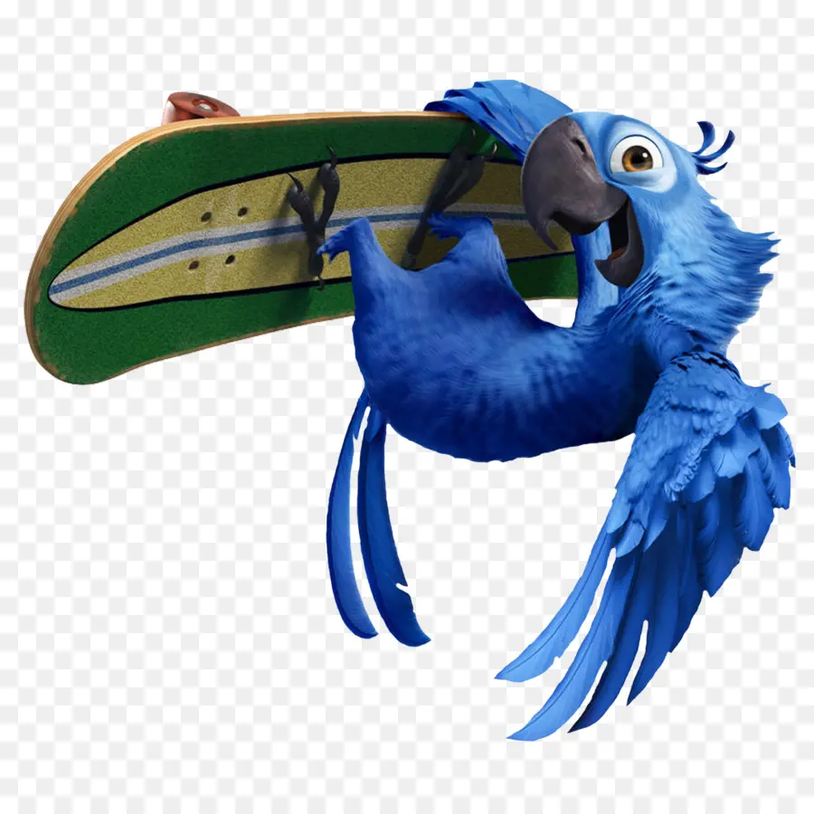 Blue Bird，Sepatu Luncur PNG