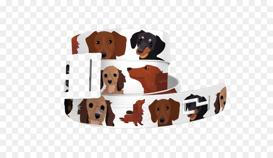 Anjing Berkembang Biak，Dachshund PNG