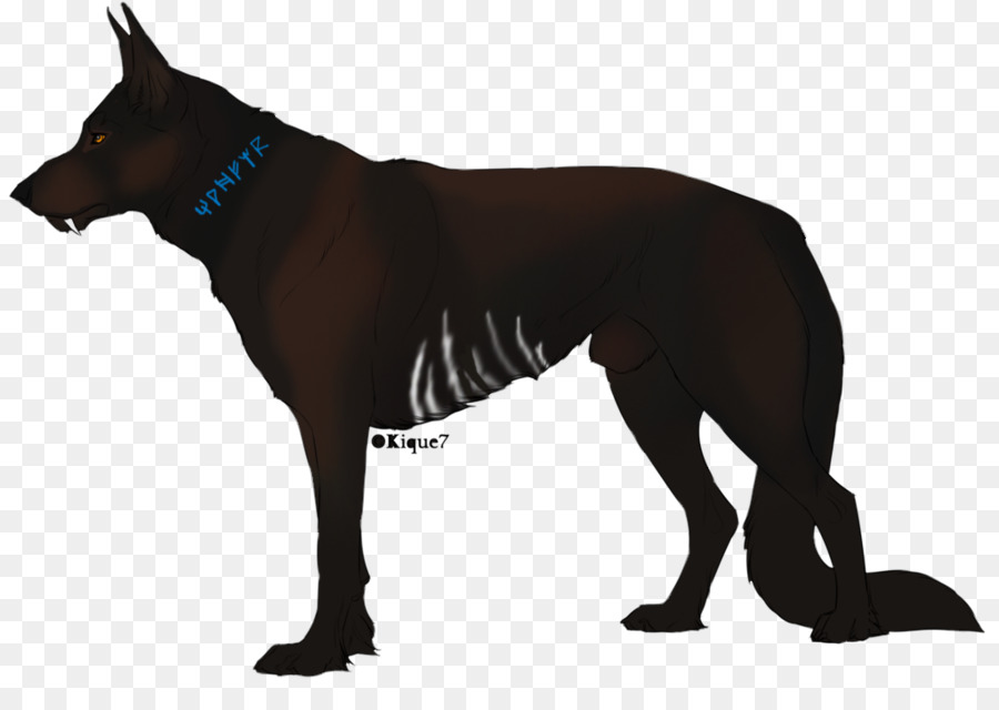 Anjing，Peliharaan PNG