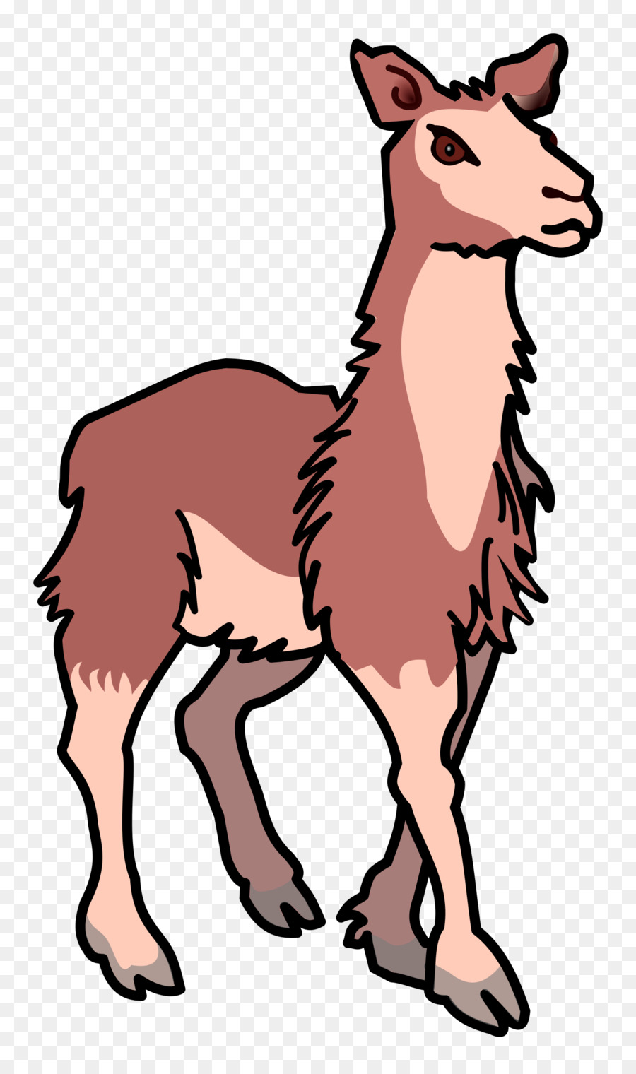 Lama，Mamalia PNG