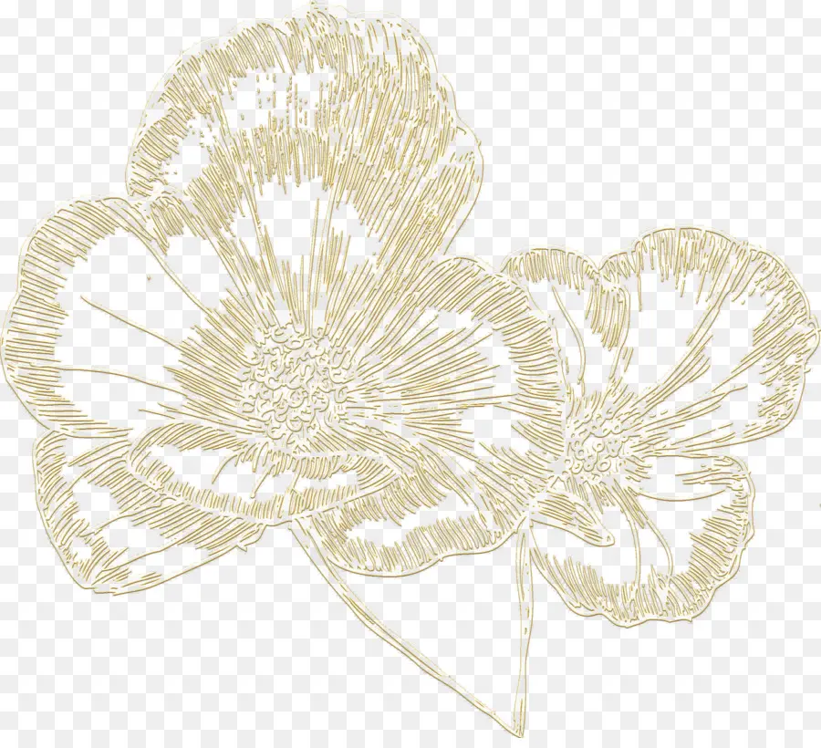 Kelopak，Desain Bunga PNG