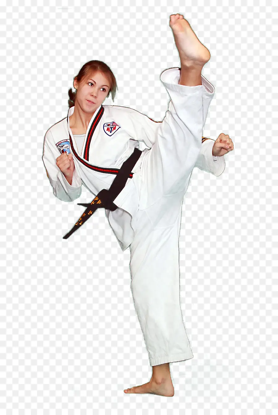 Seniman Bela Diri，Karate PNG