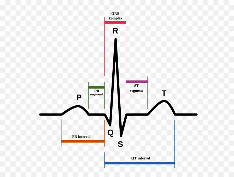 Ekg，Jantung PNG