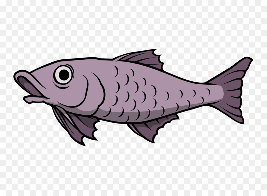 Ikan，Cupang PNG