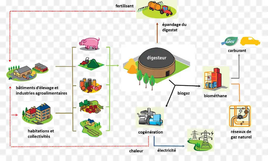 Diagram Biogas，Energi PNG